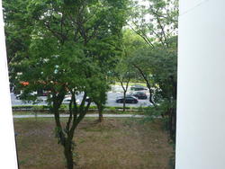 Blk 299A Compassvale Street (Sengkang), HDB 5 Rooms #127644822